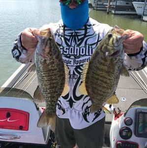 Meet your Posher, Shane